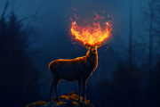 PS合成森林中的火焰鹿王